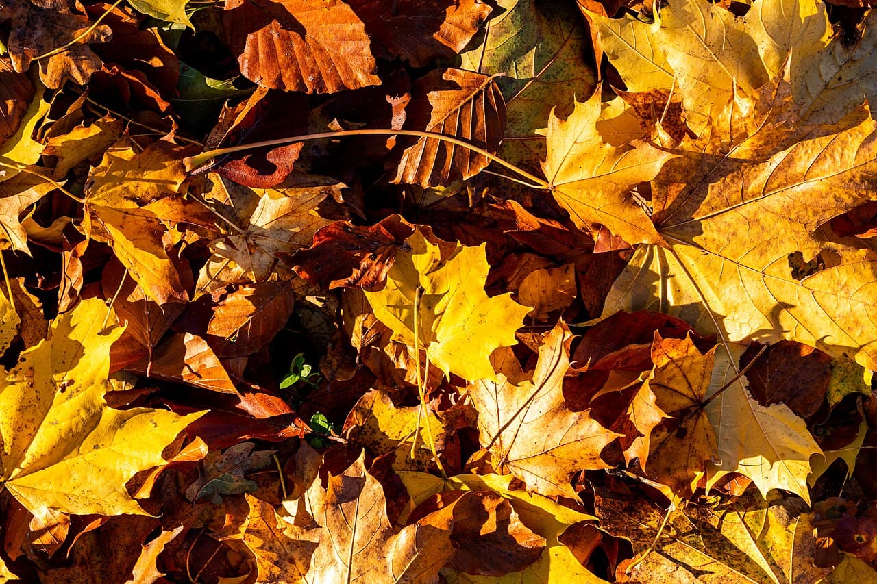 Autumn Flight Deals to Europe: September–November