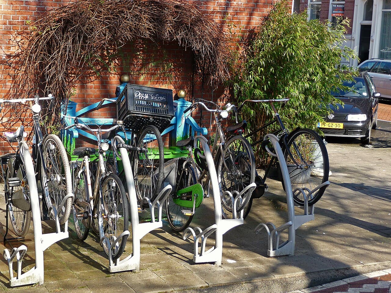 Bike & E-Scooter Rental: A City Travel Guide