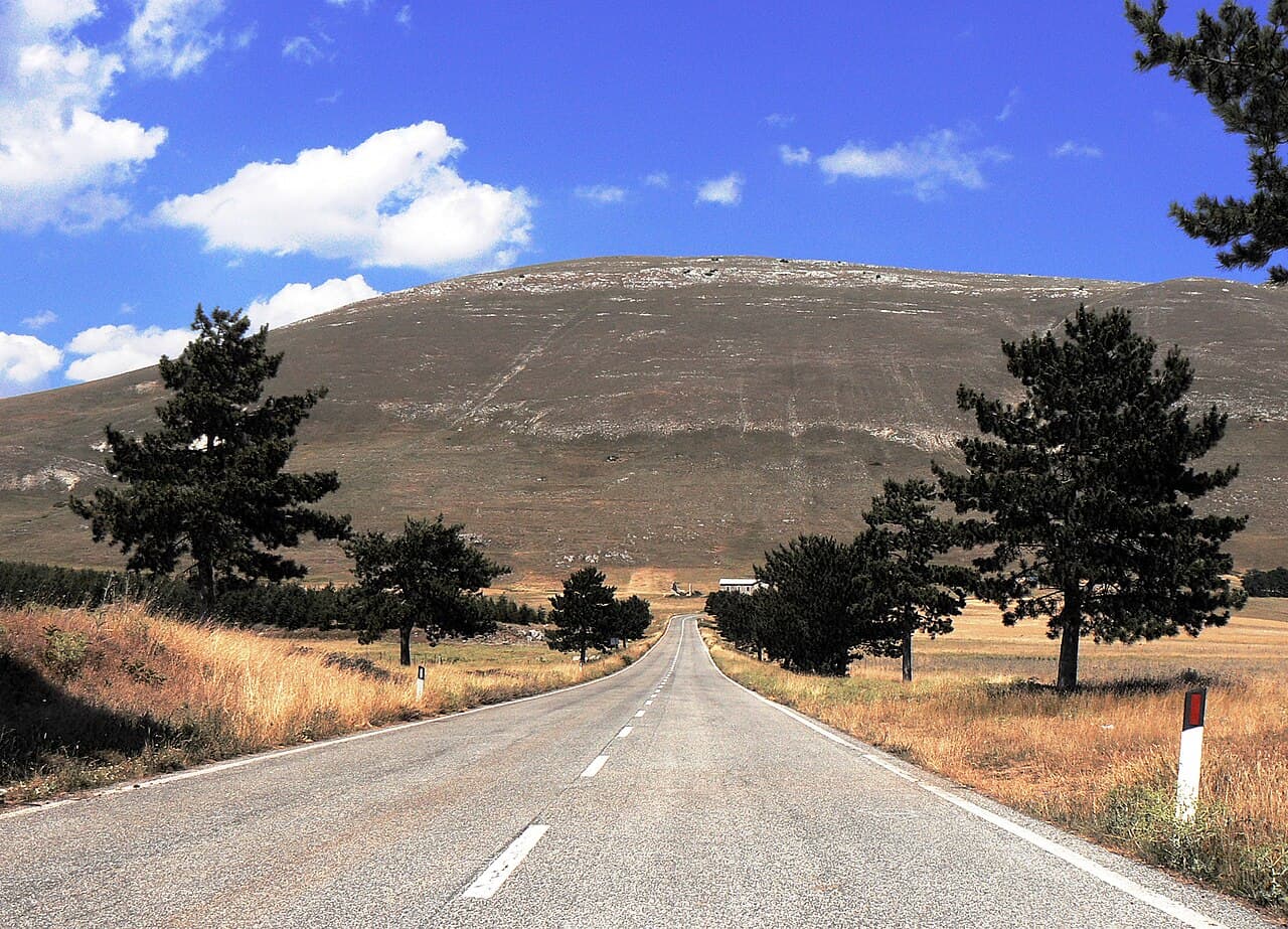 Taking a rental car across borders: what companies require