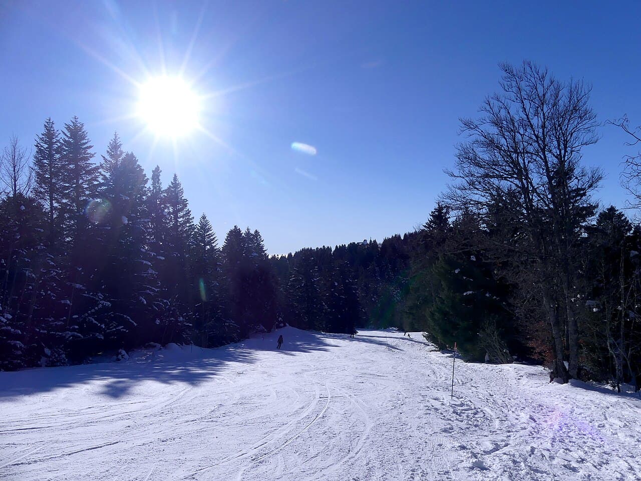 Skiing in the Alps: How to Plan a Ski Trip from Georgia