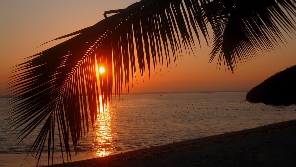 Winter Sun on a Budget: Warm Escapes from Georgia