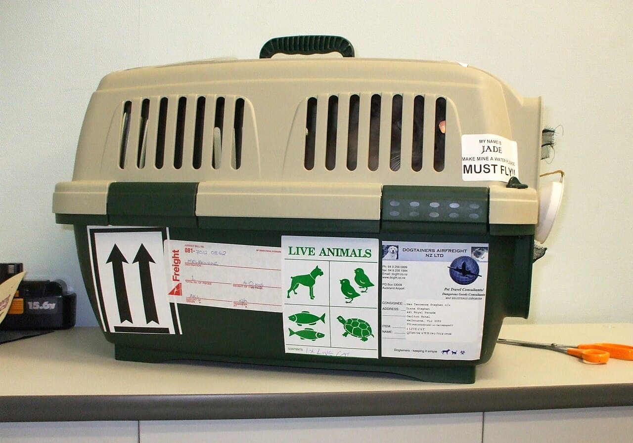Flying with Pets: Rules, Fees and Documents in 2026