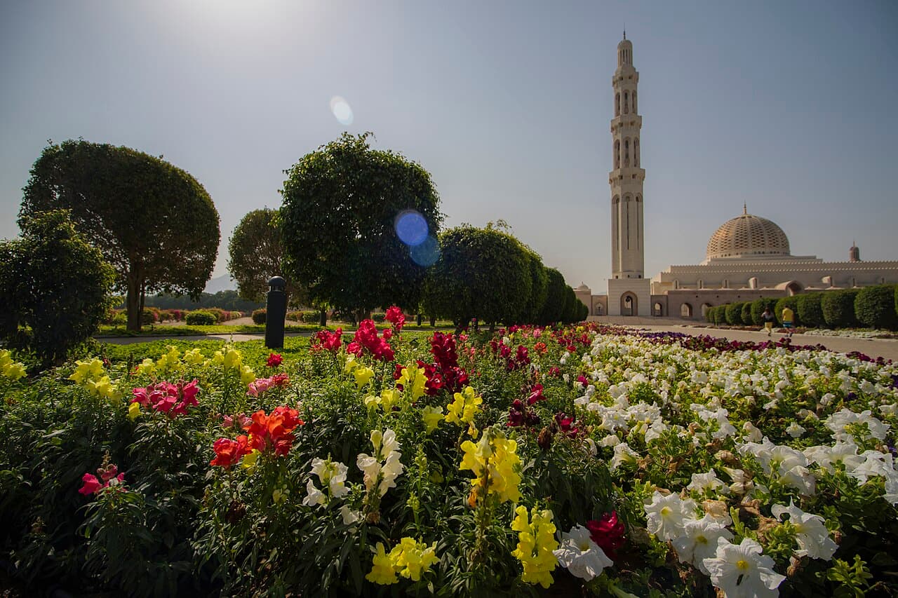 Tbilisi to Muscat: Oman's Best-Kept Capital on the Gulf